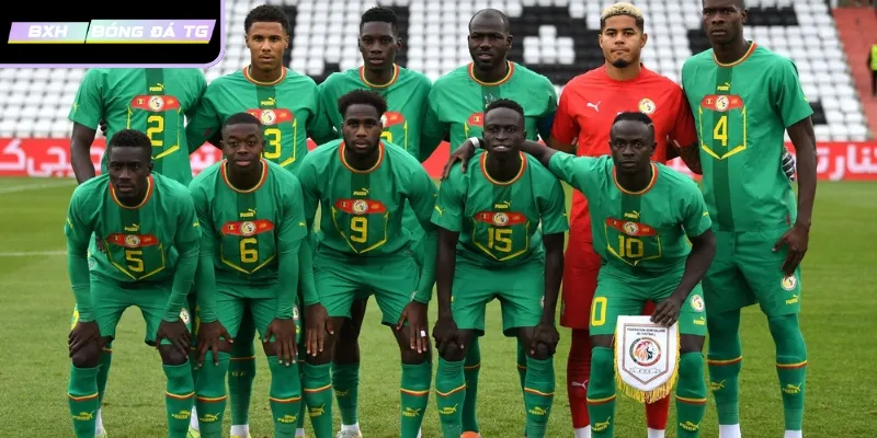 Senegal và hành trình vươn tầm bóng đá thế giới