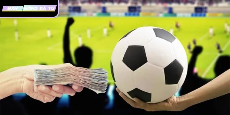 Bí kíp cá cược Senegal cho người chơi thông thái