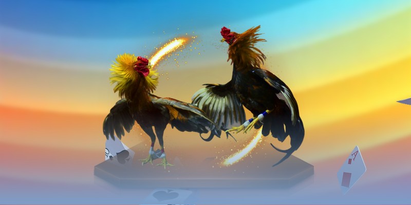 Đá Gà Thomo Bongvip